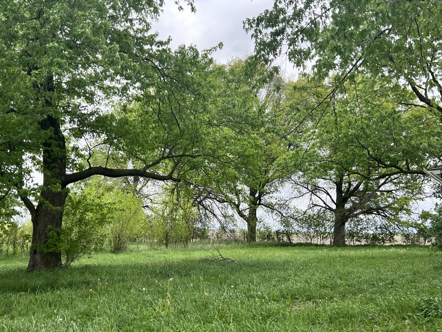 7054 E 4300 Road Property Photo 3