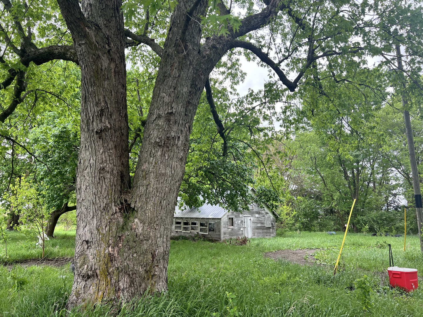 7054 E 4300 Road Property Photo 4