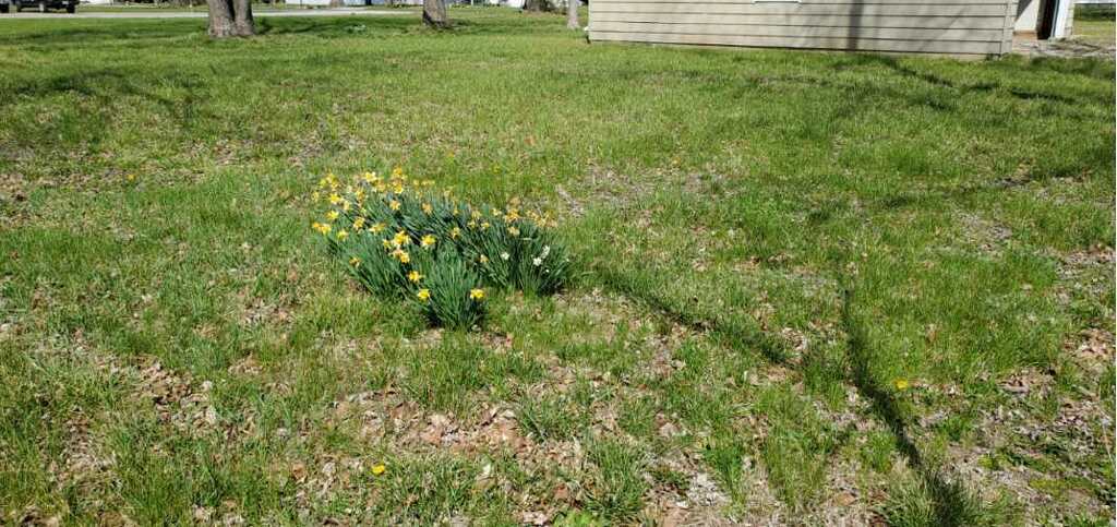 11495 N Brownsville Road Property Photo 18