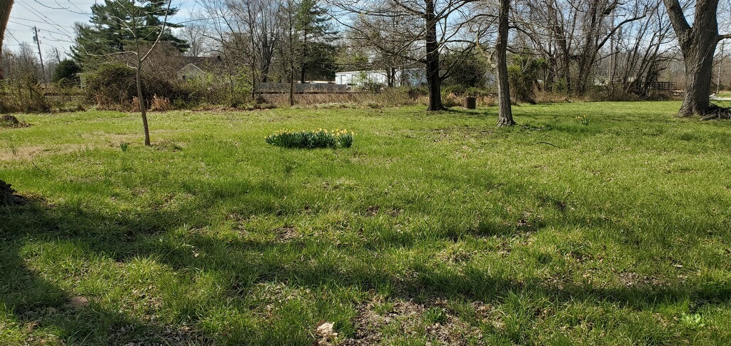 11495 N Brownsville Road Property Photo 19