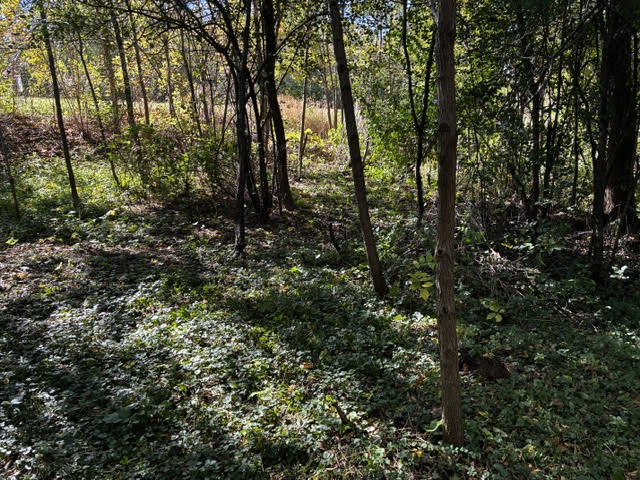 23976 W Beach Grove Road Property Photo 2