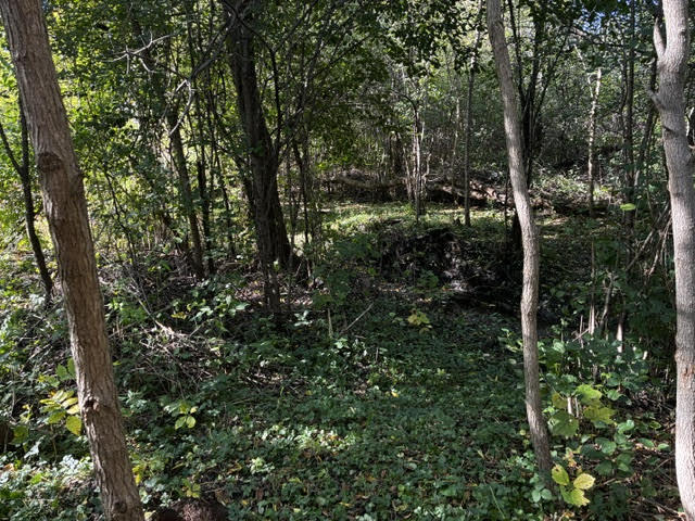 23976 W Beach Grove Road Property Photo 3