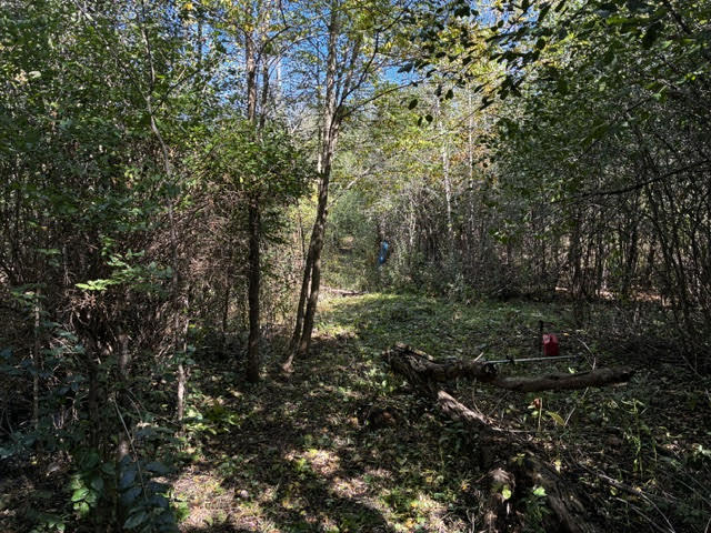 23976 W Beach Grove Road Property Photo 4