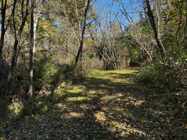 23976 W Beach Grove Road Property Photo 6