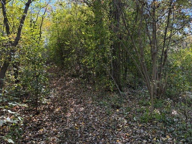 23976 W Beach Grove Road Property Photo 7