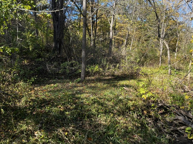 23976 W Beach Grove Road Property Photo 9