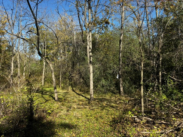 23976 W Beach Grove Road Property Photo 10
