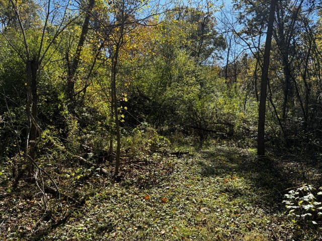 23976 W Beach Grove Road Property Photo 11