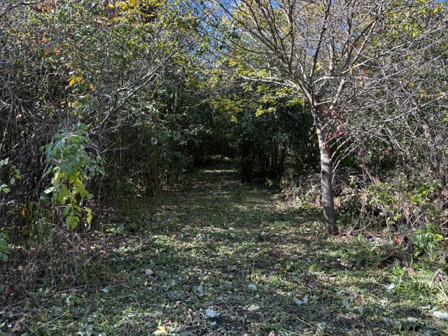 23976 W Beach Grove Road Property Photo 13