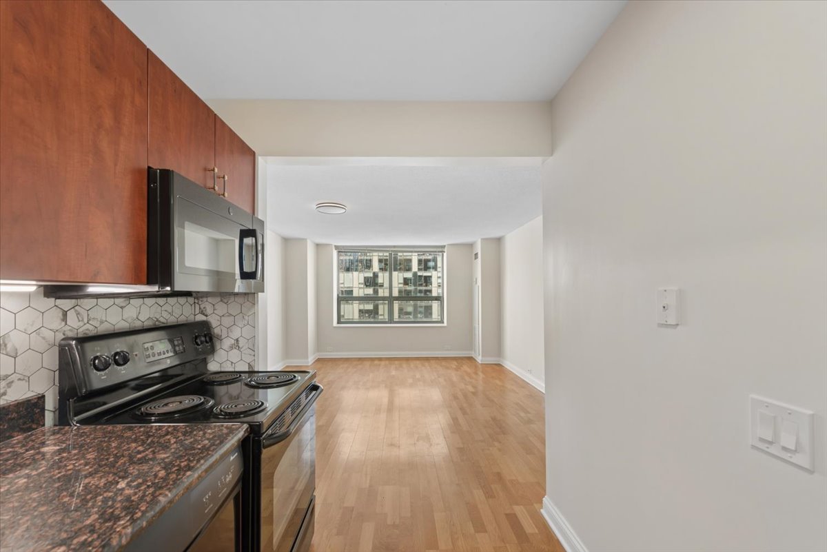 474 N Lake Shore Drive 4003 Property Photo 13