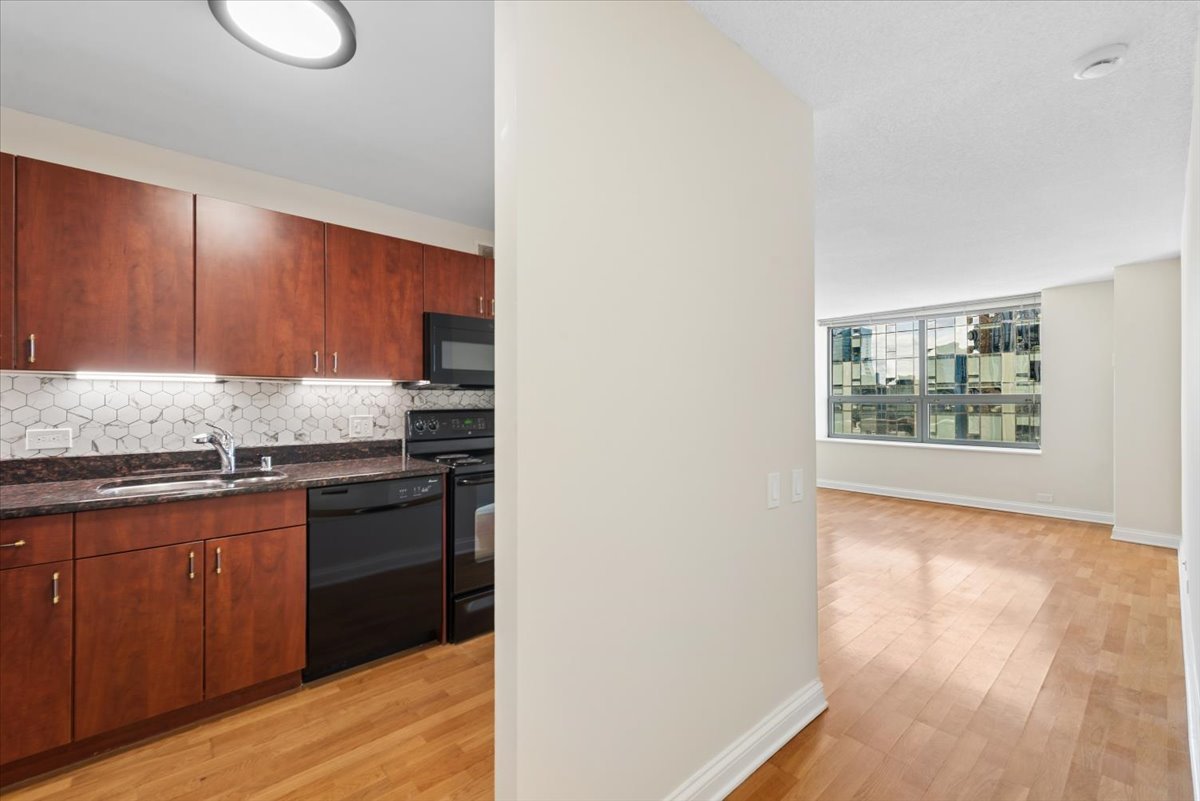 474 N Lake Shore Drive 4003 Property Photo 15