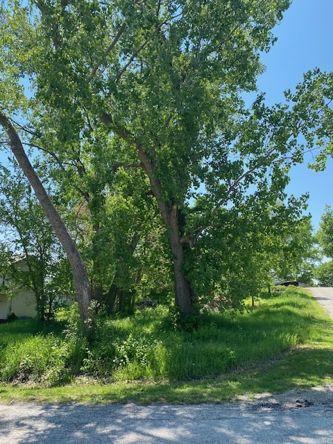 1023 Hooks Lane Property Photo 3