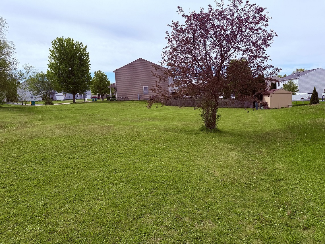 800 Willow Street Property Photo 3