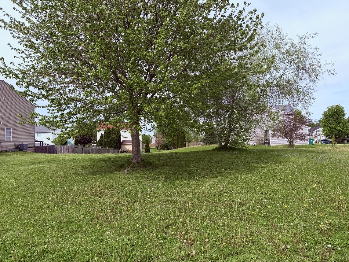 800 Willow Street Property Photo 4