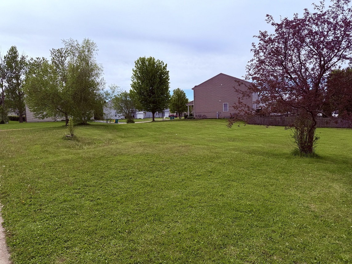 800 Willow Street Property Photo 5