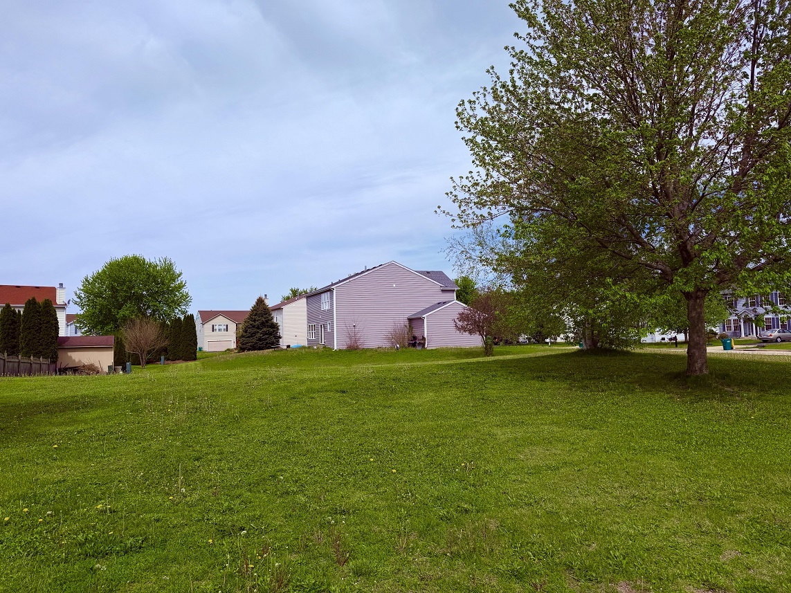 800 Willow Street Property Photo 6