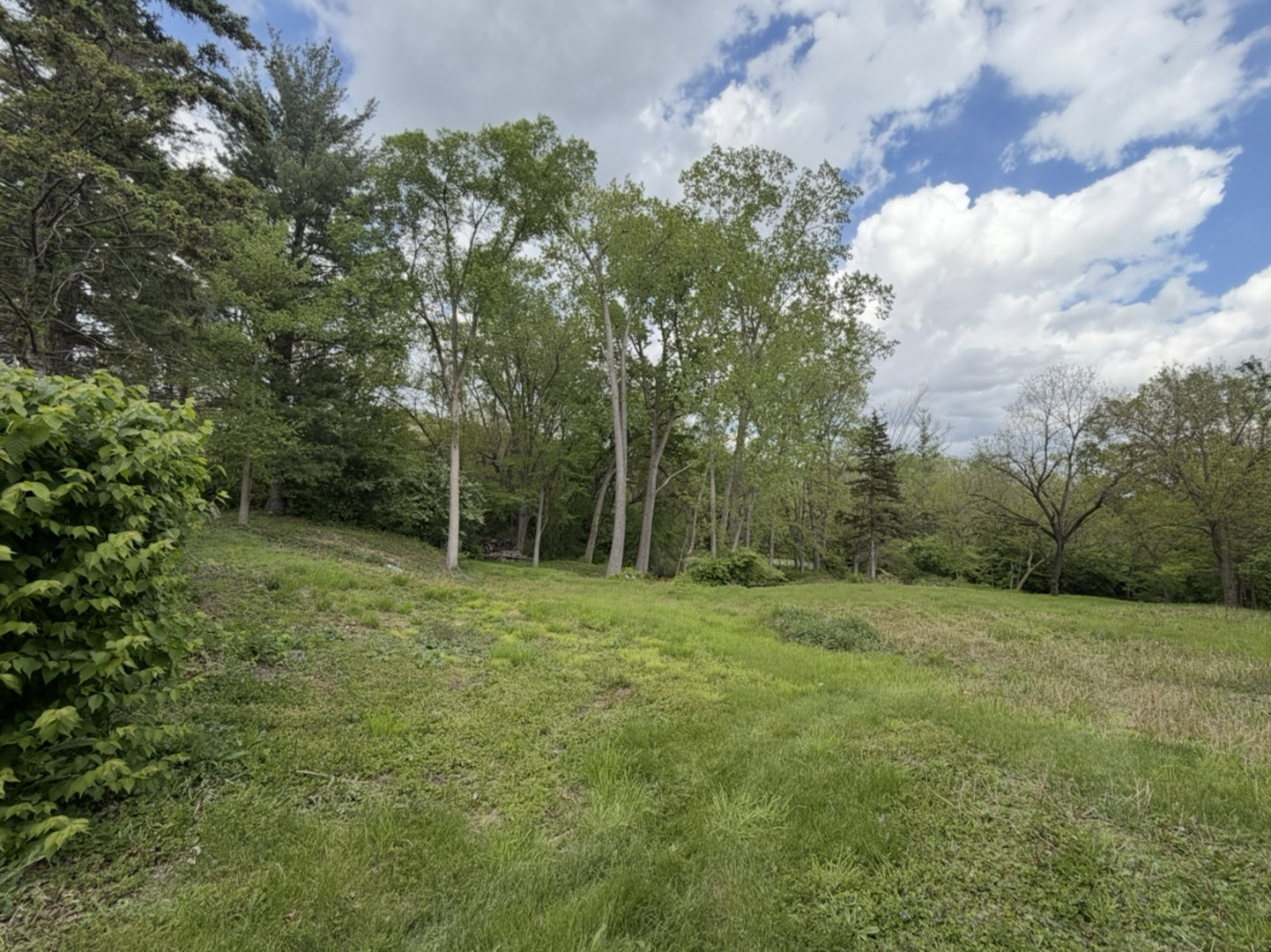 17 E Lyncliff Drive Property Photo 4