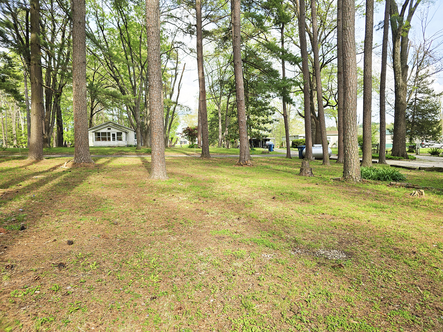 1831 Duck Lane Property Photo 6