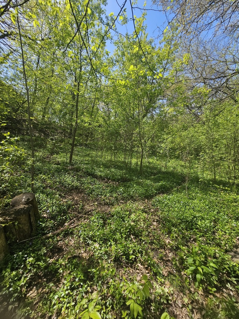 38581 N Hillandale Drive Property Photo 1