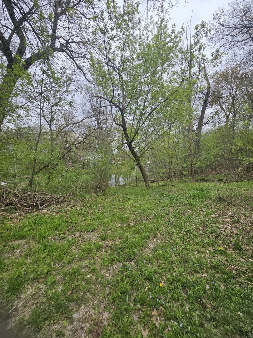 38581 N Hillandale Drive Property Photo 5
