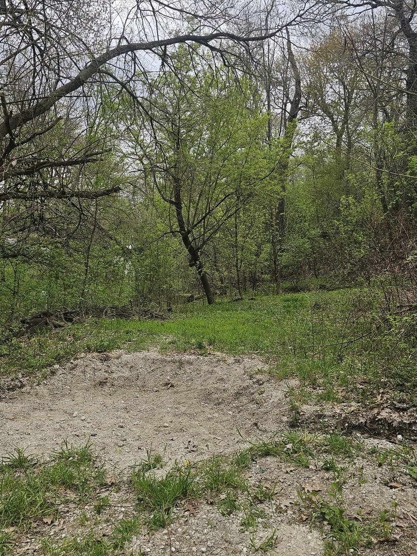 38581 N Hillandale Drive Property Photo 6