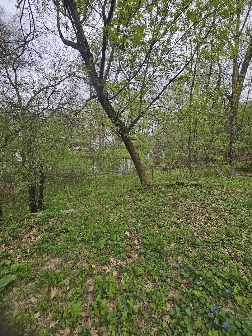38581 N Hillandale Drive Property Photo 7