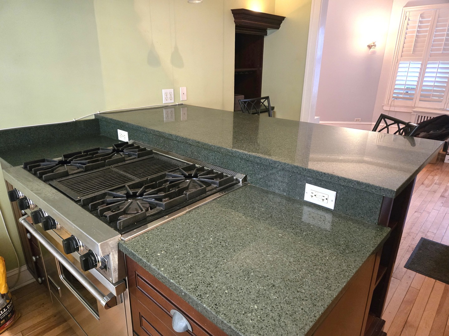 548 W Brompton Avenue 1e Property Photo 7
