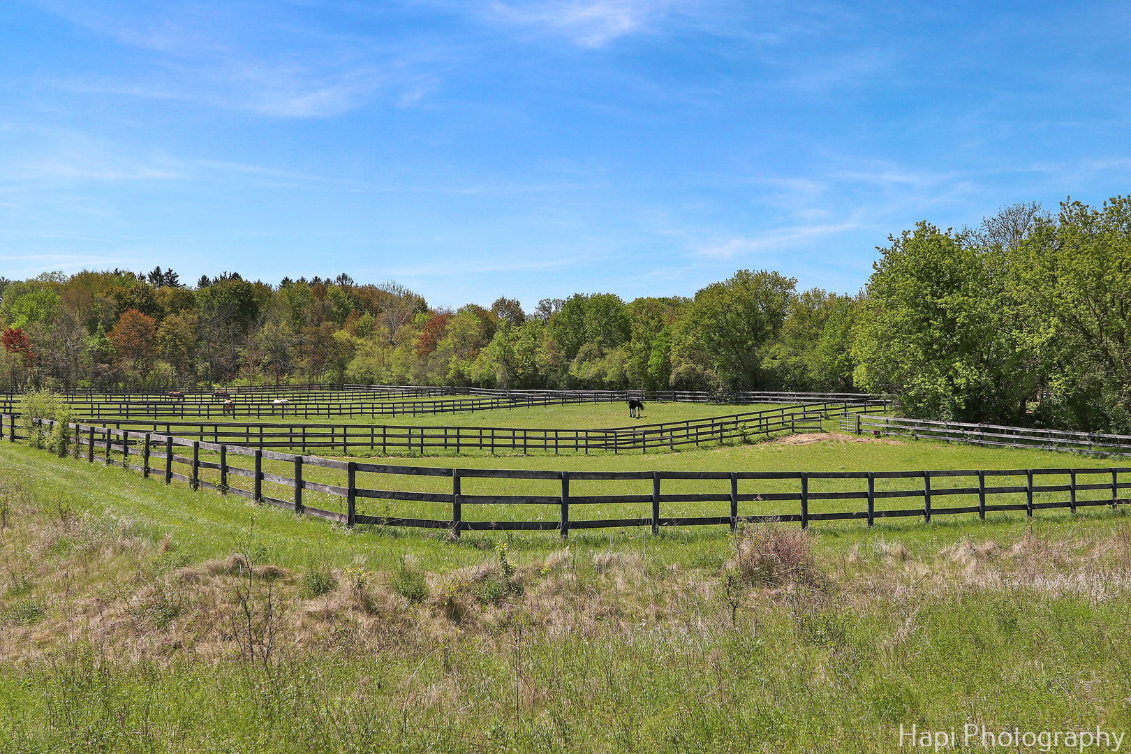 23 W County Line Road Property Photo 62