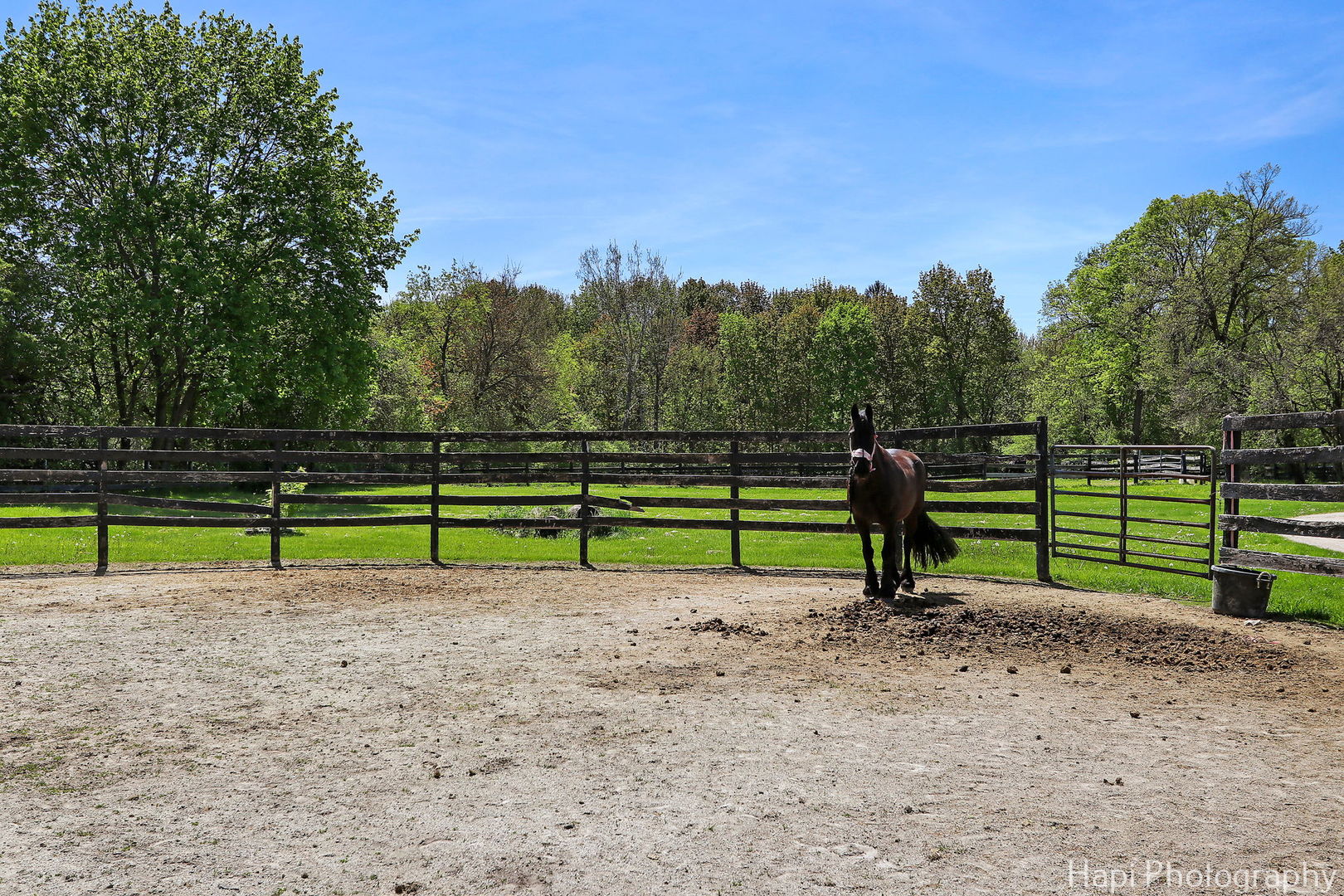 23 W County Line Road Property Photo 63