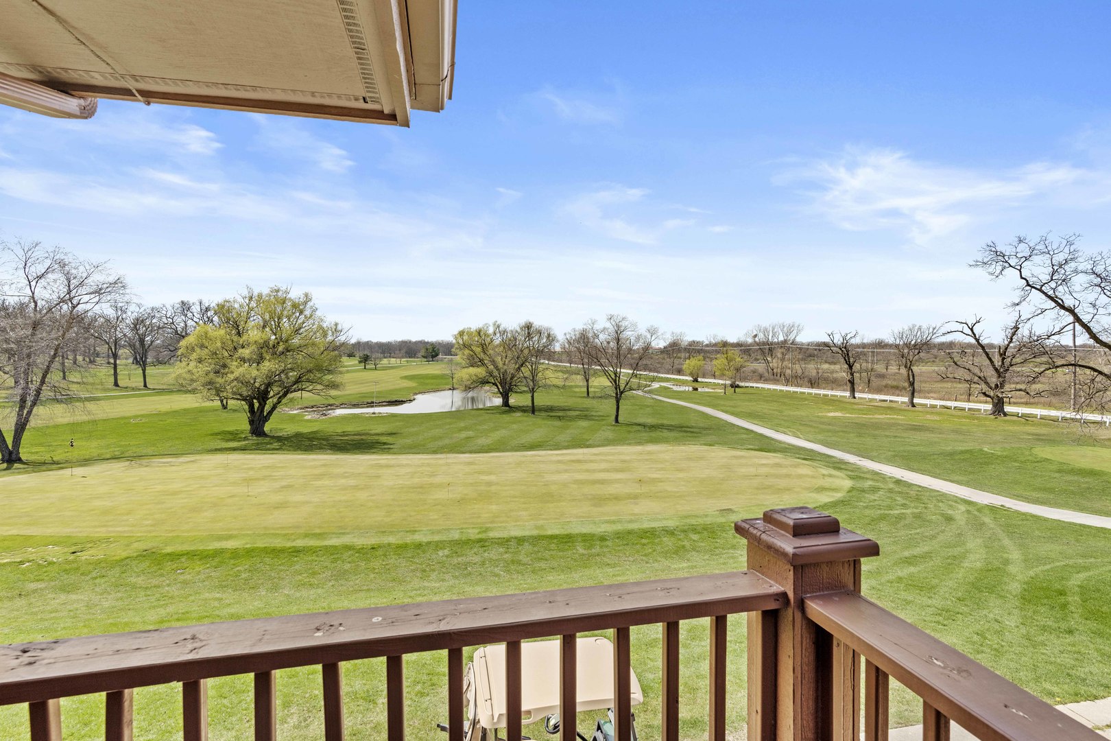26732 S Balmoral Woods Drive Property Photo 12