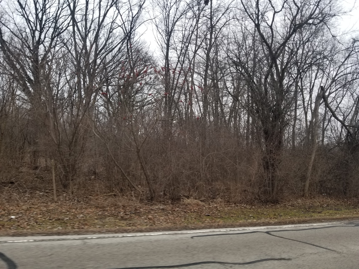 1 St. Charles Road Property Photo 6