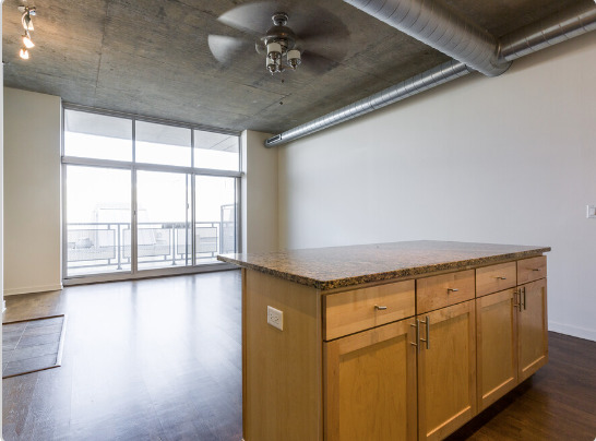 700 N Larrabee Street 1704 Property Photo 15