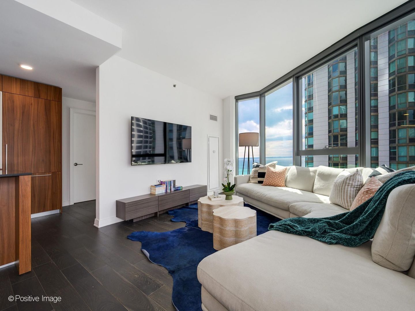 211 N Harbor Drive 1801 Property Photo 8