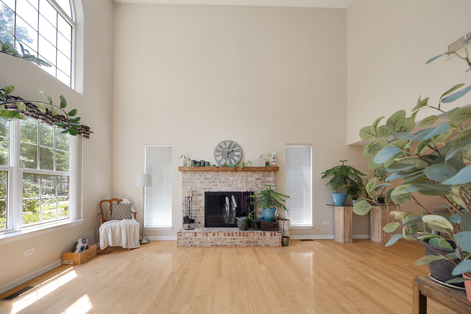 8566 Cedar Street Property Photo 4
