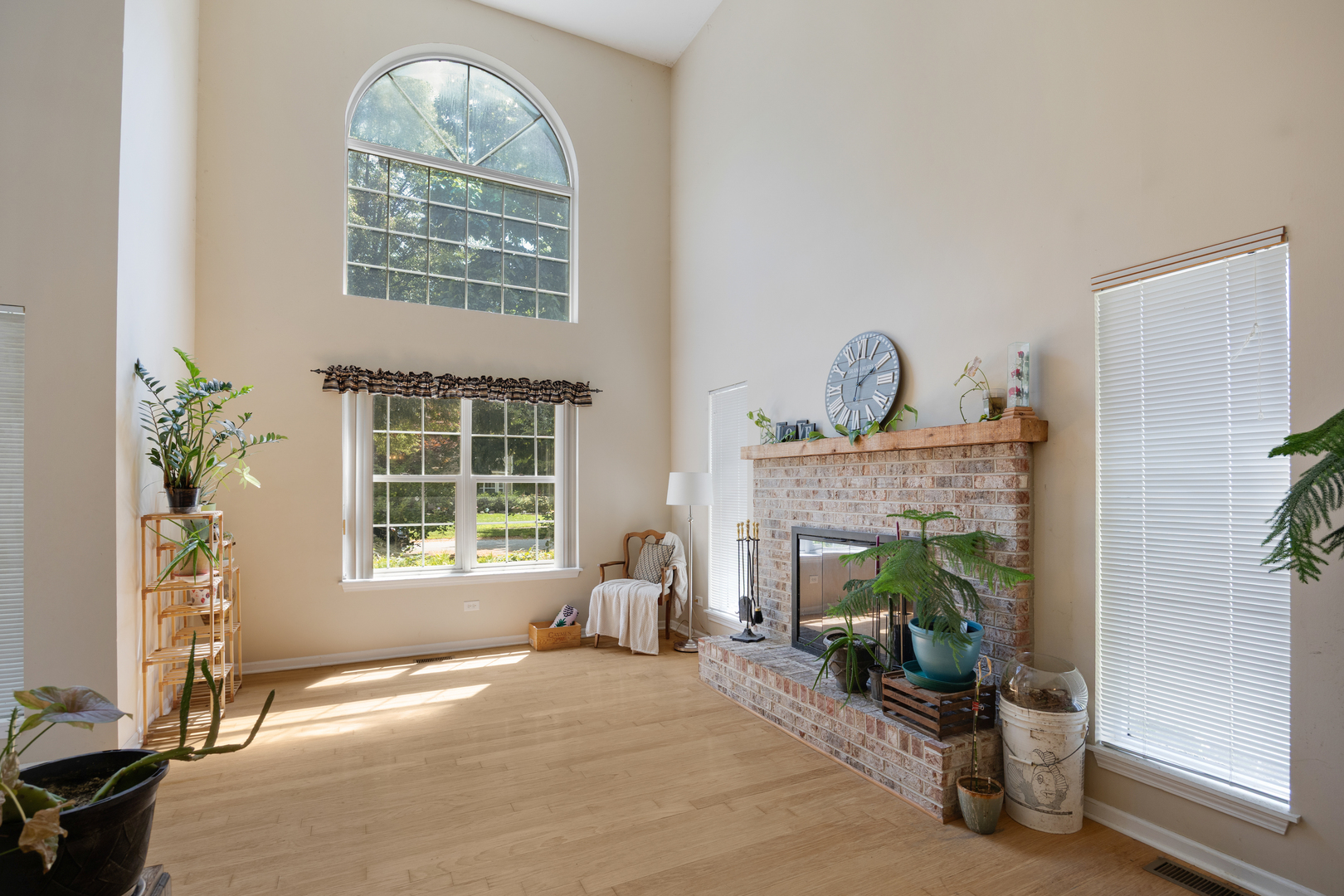 8566 Cedar Street Property Photo 5