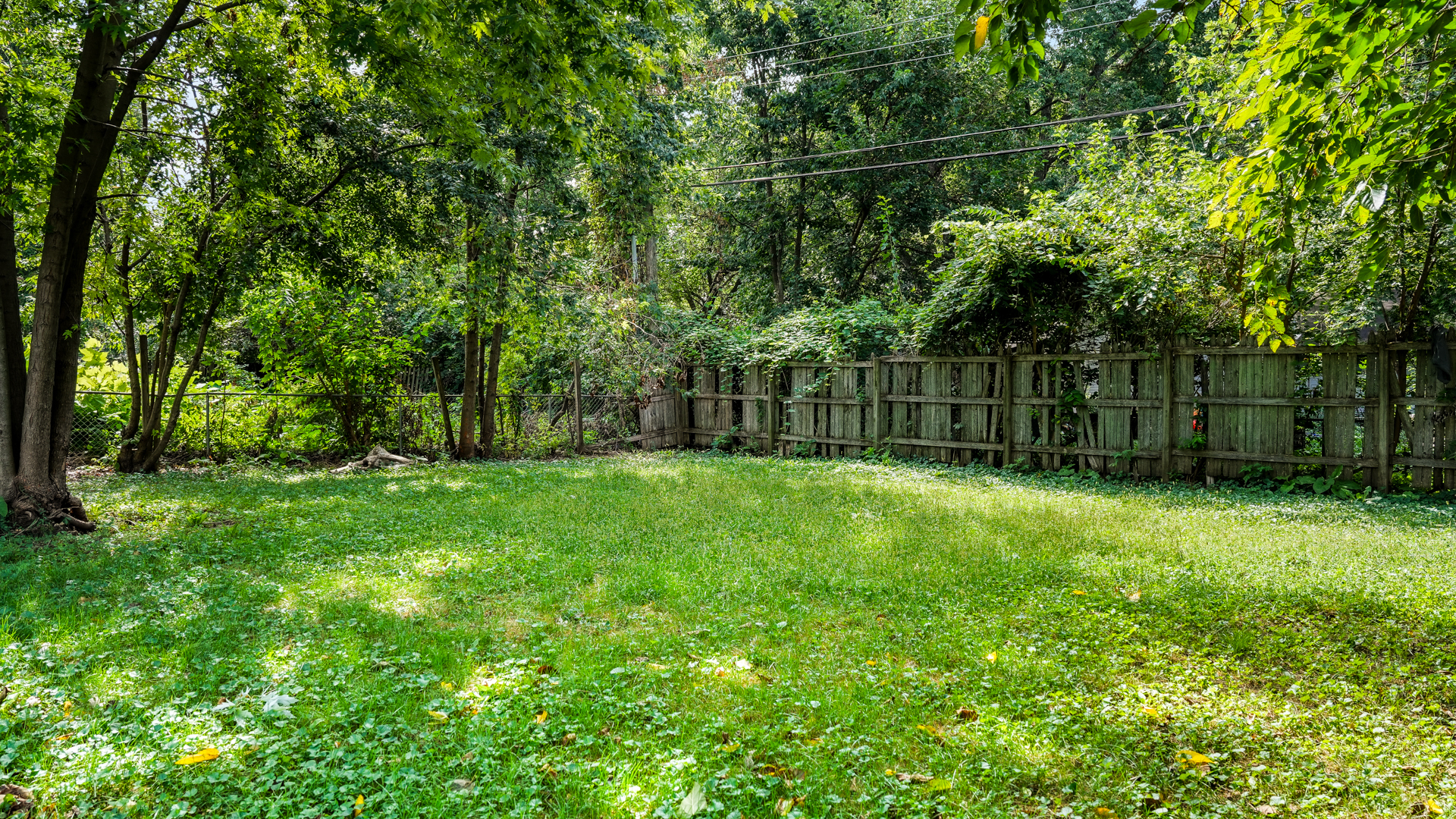 1407 Paula Drive Property Photo 23