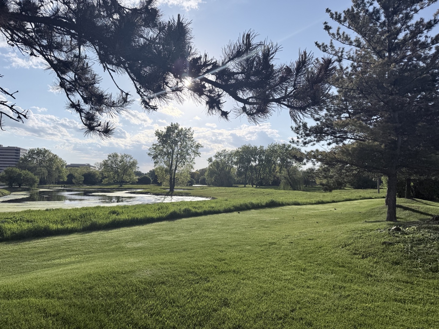1s476 Renaissance Boulevard Property Photo 1