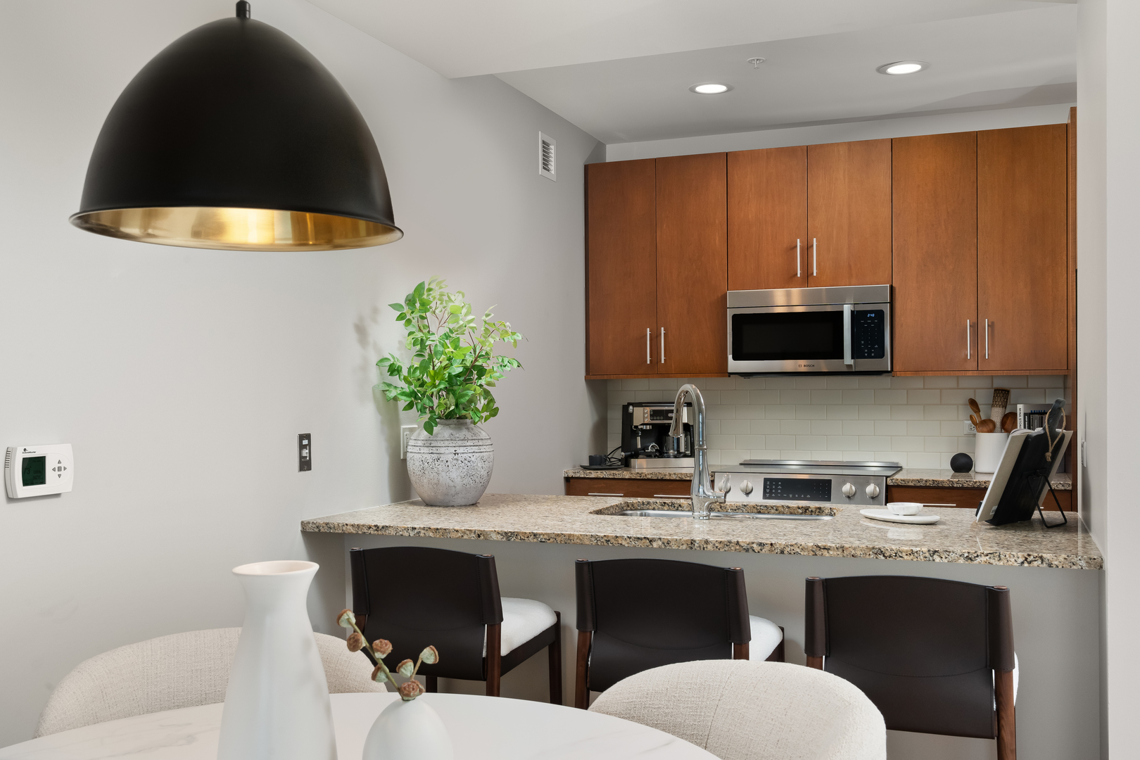850 N Lake Shore Drive 201 Property Photo 14