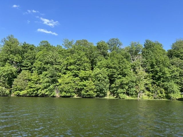 Lot 147 Parrish Ridge Property Photo 2