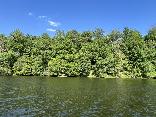 Lot 147 Parrish Ridge Property Photo 3