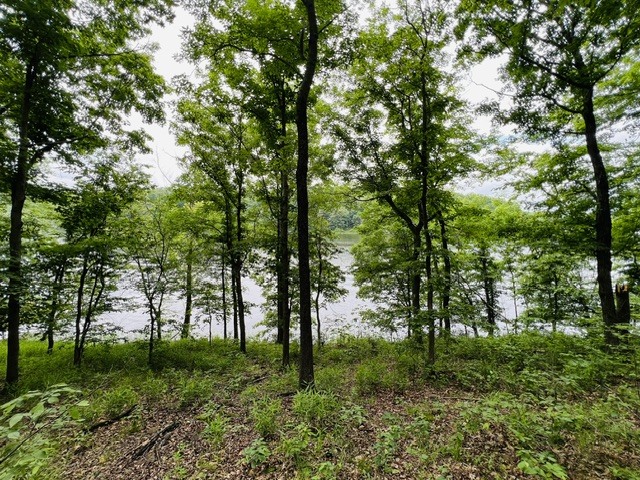 Lot 147 Parrish Ridge Property Photo 4