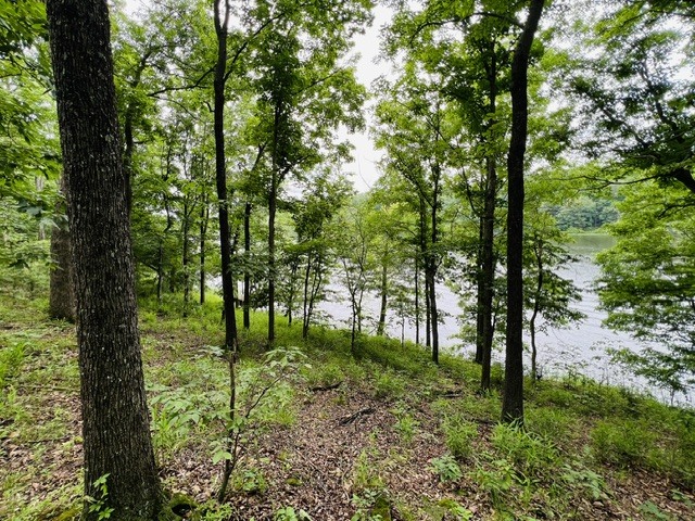 Lot 147 Parrish Ridge Property Photo 5