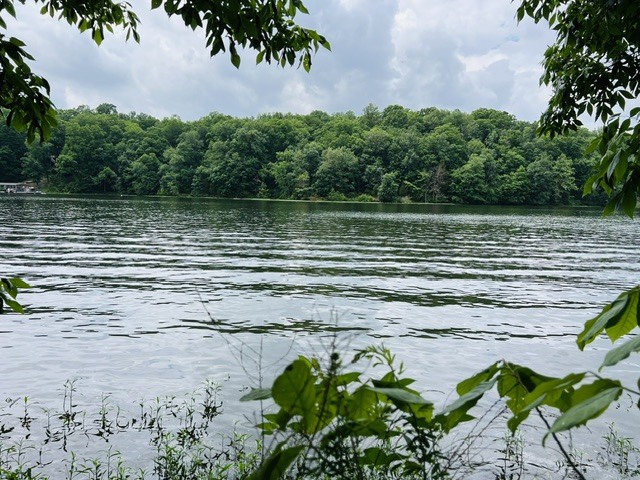 Lot 147 Parrish Ridge Property Photo 7