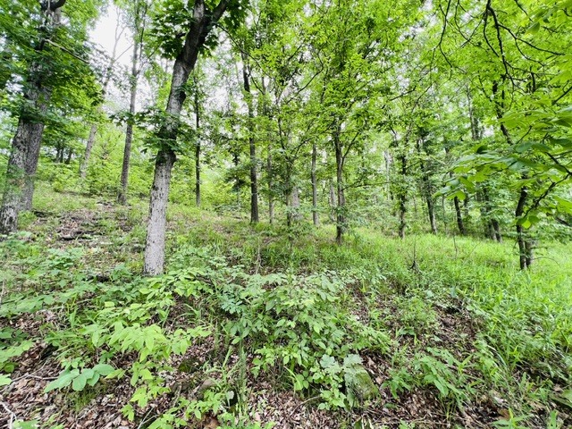 Lot 147 Parrish Ridge Property Photo 8