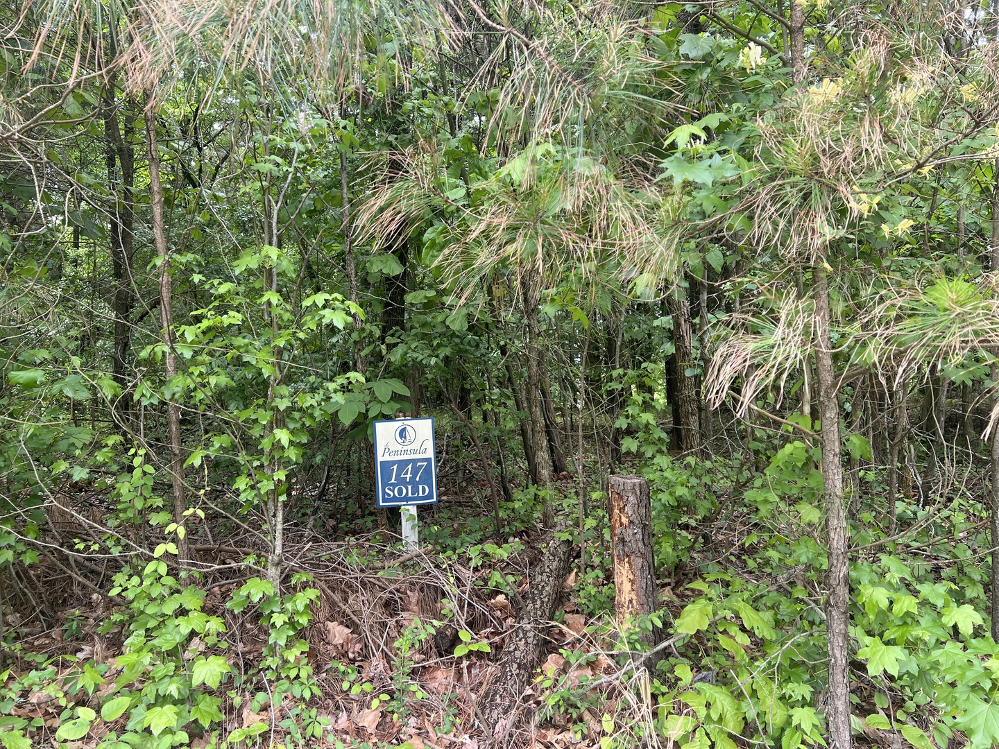 Lot 147 Parrish Ridge Property Photo 10