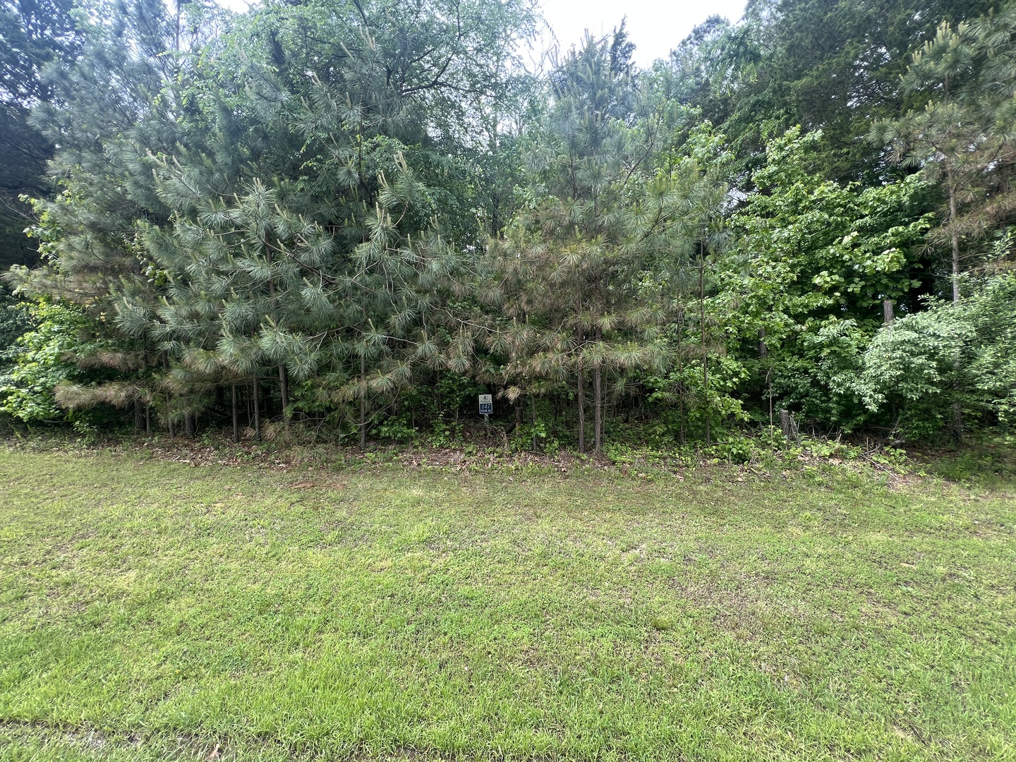 Lot 147 Parrish Ridge Property Photo 12