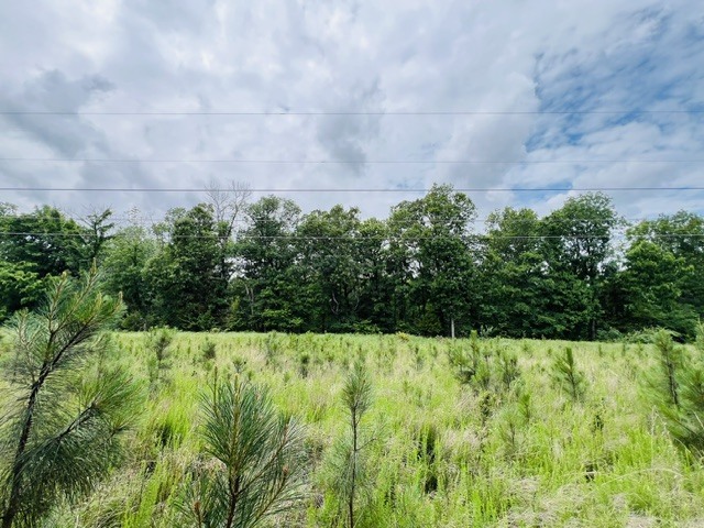 Lot 147 Parrish Ridge Property Photo 15