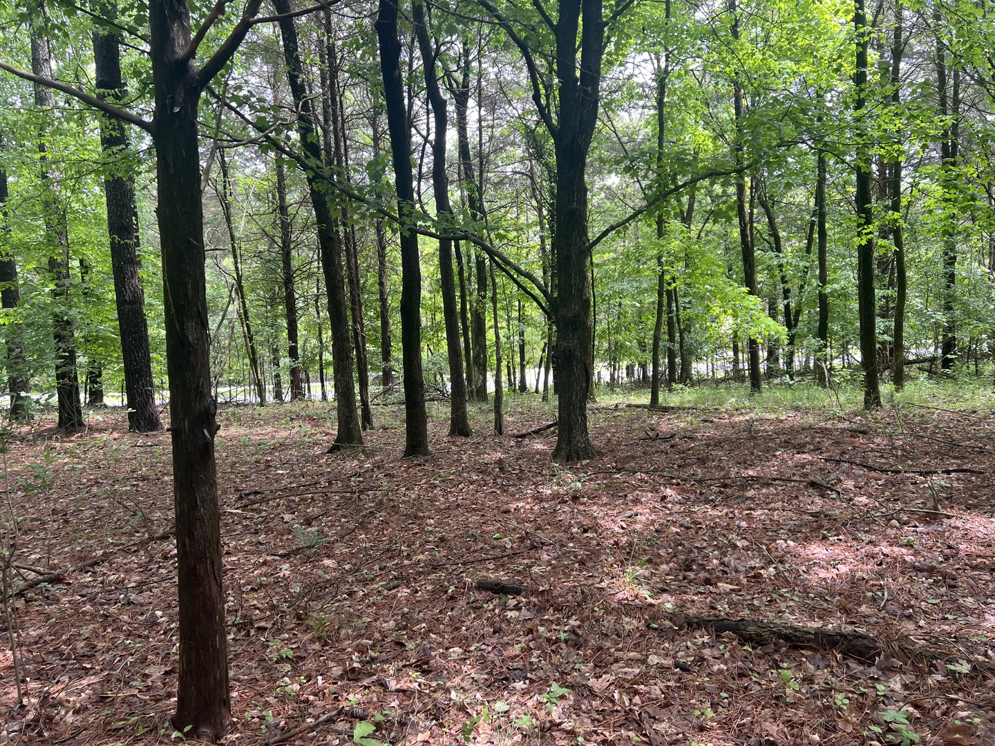 Lot 147 Parrish Ridge Property Photo 16