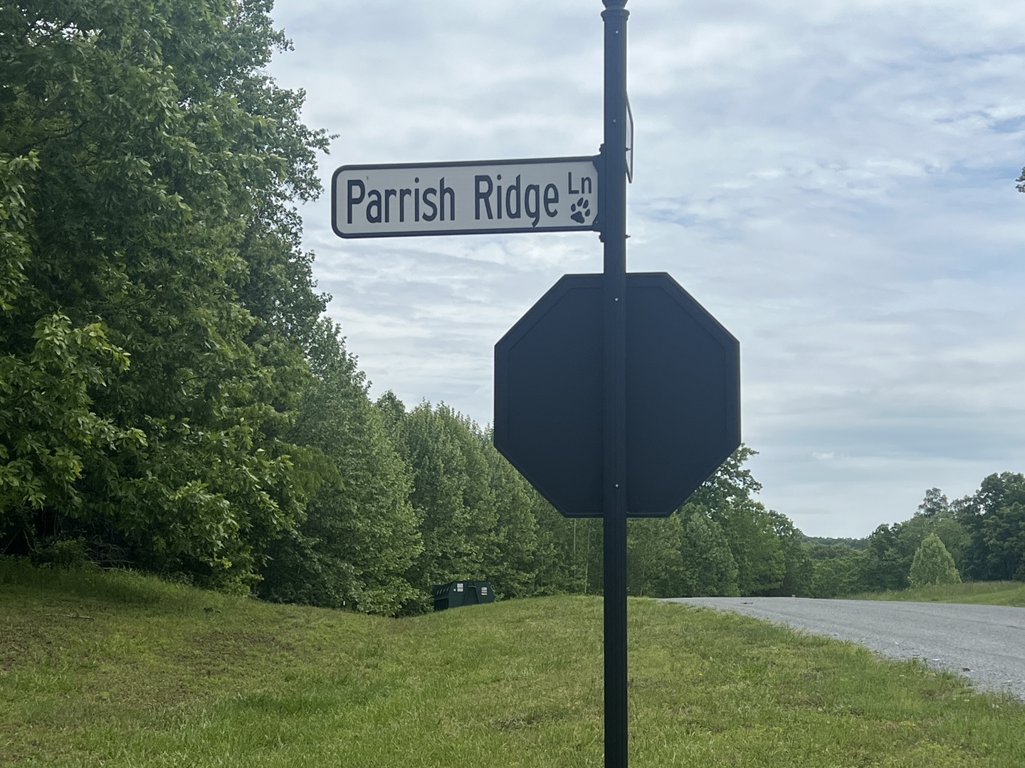 Lot 147 Parrish Ridge Property Photo 18
