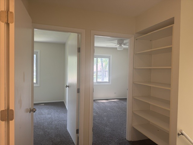 1812 Downey Court Property Photo 22